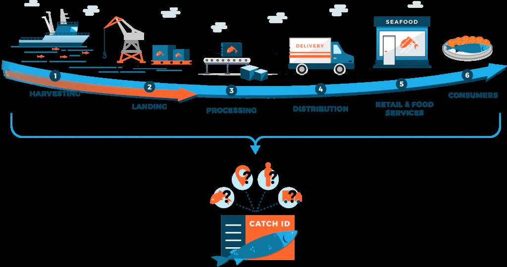 Export Management Operations