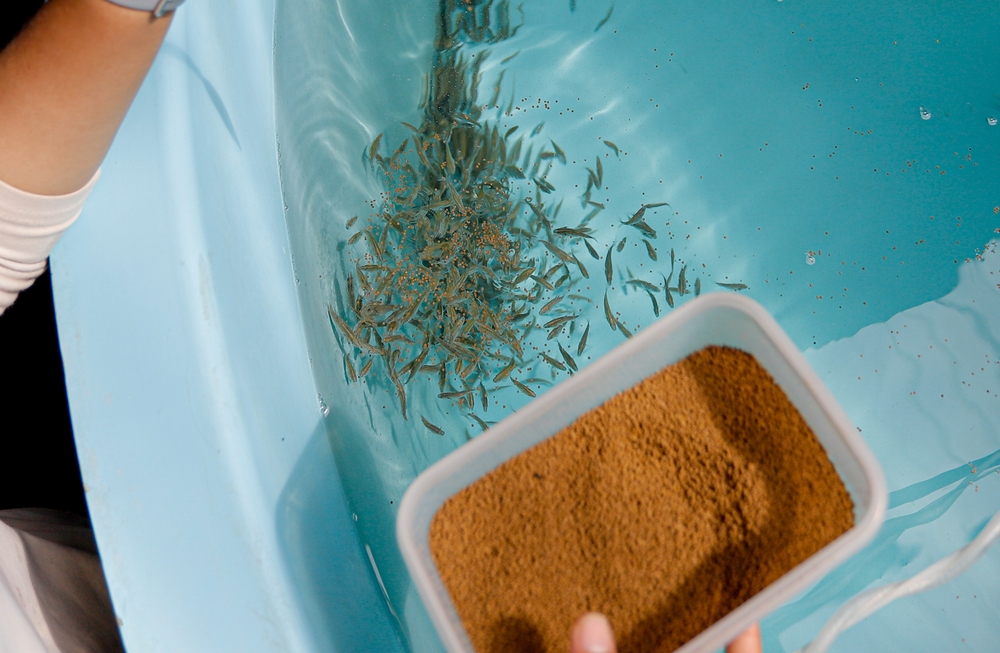 Workforce Training Programs