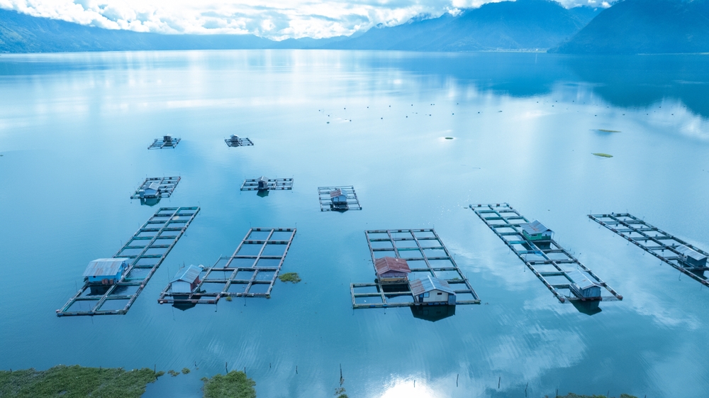 Global Best Practices